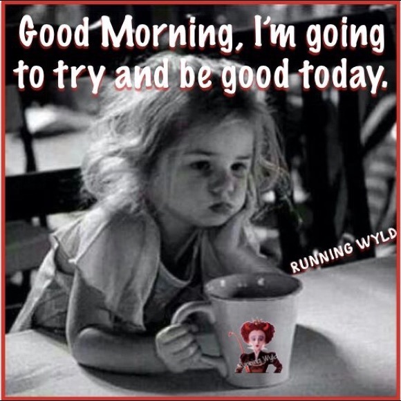 Meet your Posher, K - Picture 1 of 1